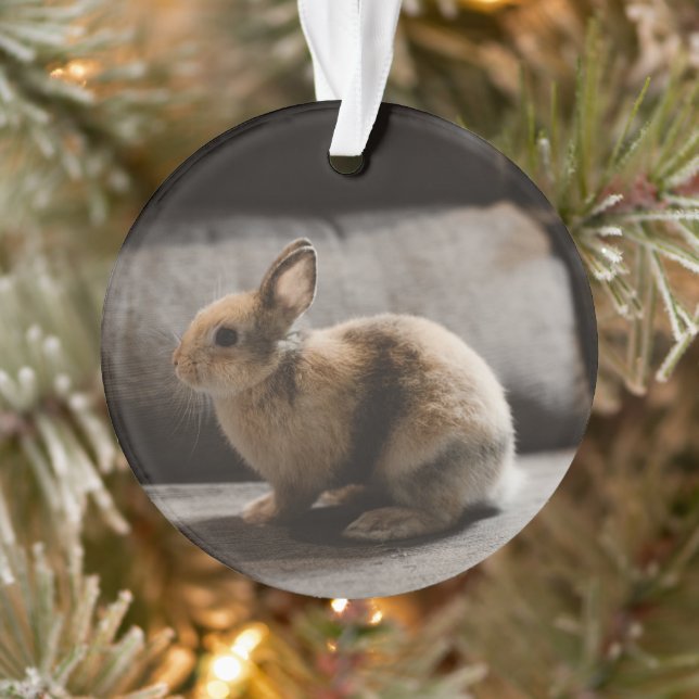 Cutest Baby Animals | Netherland Dwarf Rabbit Ornament (Tree)
