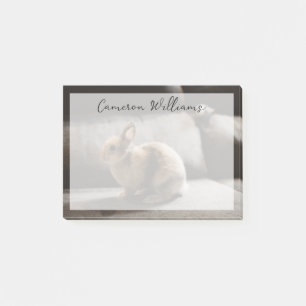 Cutest Baby Animals Netherland Dwarf Rabbit Post-it Notes