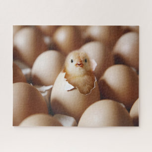 Cutest Baby Animals   New Baby Chick Jigsaw Puzzle