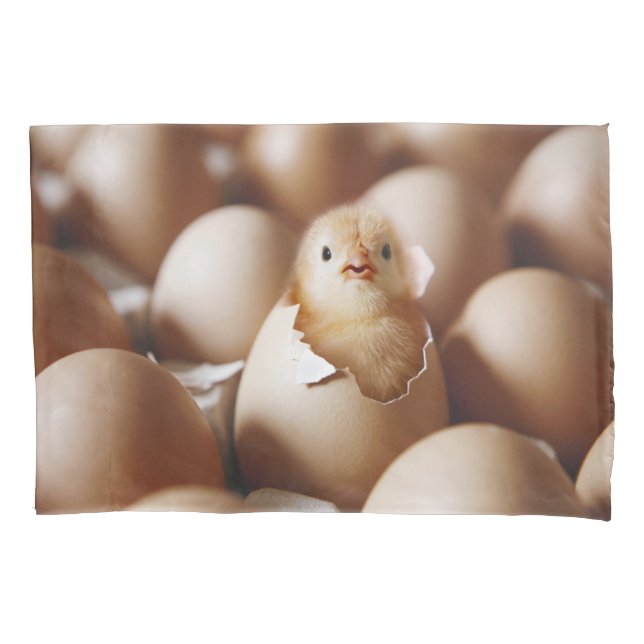 Cutest Baby Animals | New Baby Chick Pillowcase (Front)