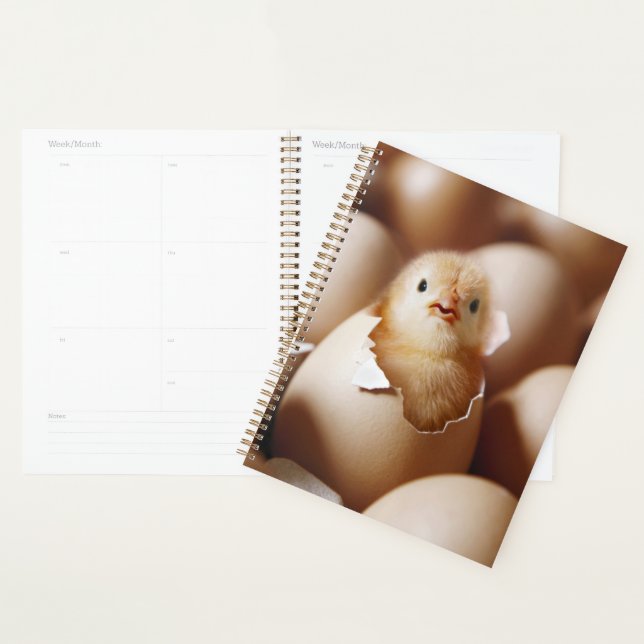 Cutest Baby Animals | New Baby Chick Planner (Display)