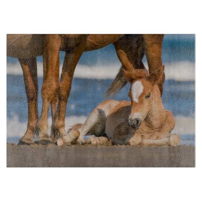 Cutest Baby Animals | Newborn Corolla Wild Horse Cutting Board (Front)