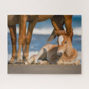 Cutest Baby Animals   Newborn Corolla Wild Horse Jigsaw Puzzle