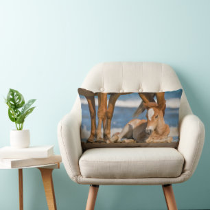Cutest Baby Animals Newborn Corolla Wild Horse Lumbar Pillow