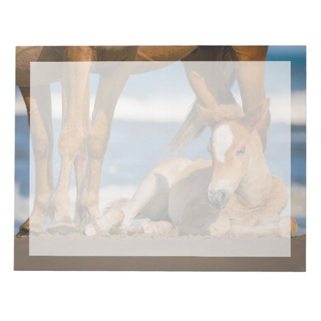 Cutest Baby Animals | Newborn Corolla Wild Horse Notepad (Front)
