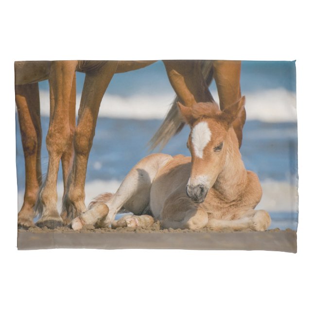 Cutest Baby Animals | Newborn Corolla Wild Horse Pillowcase (Front)