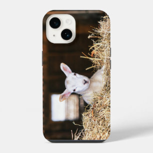 Cutest Baby Animals Newborn Lamb iPhone 14 Case