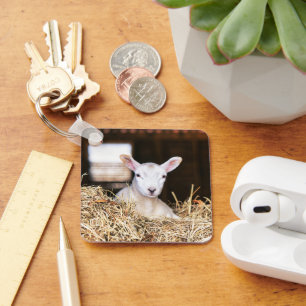 Cutest Baby Animals   Newborn Lamb Keychain