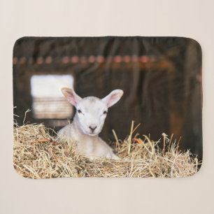 Cutest Baby Animals   Newborn Lamb Sherpa Blanket