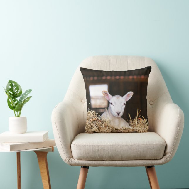 Cutest Baby Animals | Newborn Lamb Throw Pillow (Chair)
