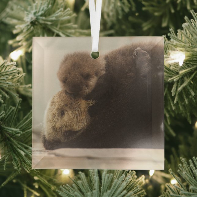 Cutest Baby Animals | Newborn Otter Pup Glass Ornament (Insitu)