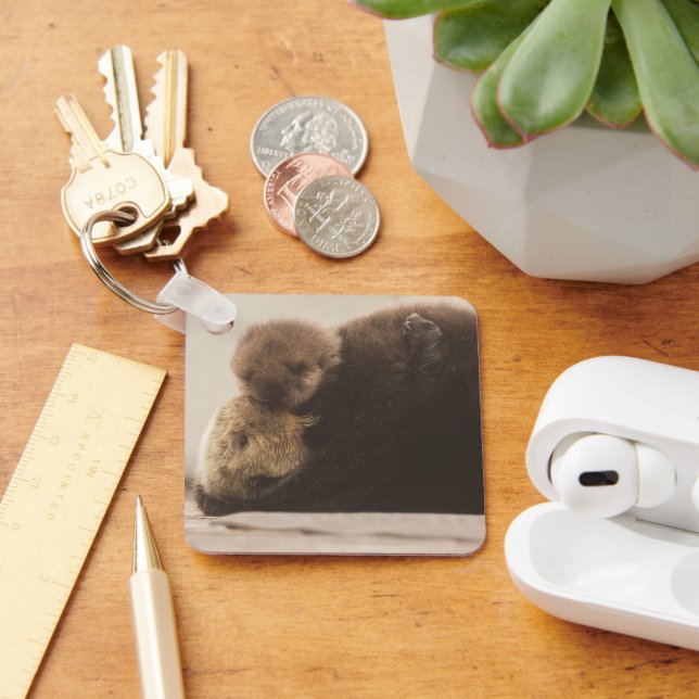 Cutest Baby Animals | Newborn Otter Pup Keychain (Desk)