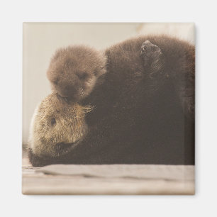 Cutest Baby Animals   Newborn Otter Pup Magnet