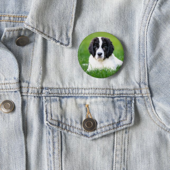 Cutest Baby Animals | Newfoundland Puppy 2 Inch Round Button (In Situ)