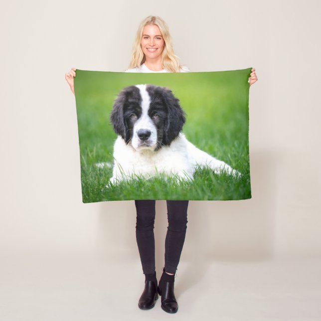 Cutest Baby Animals | Newfoundland Puppy Fleece Blanket (In Situ)