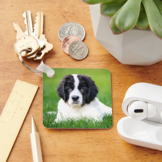 Cutest Baby Animals | Newfoundland Puppy Keychain (Desk)