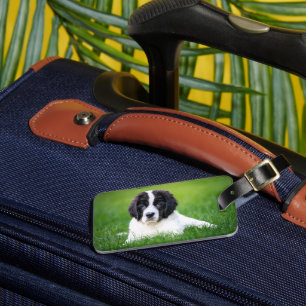Cutest Baby Animals Newfoundland Puppy Luggage Tag