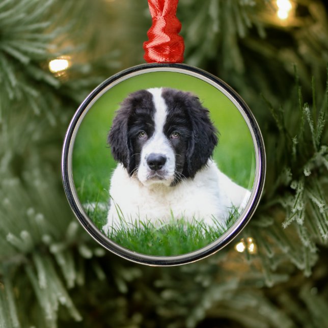 Cutest Baby Animals | Newfoundland Puppy Metal Ornament (Tree)