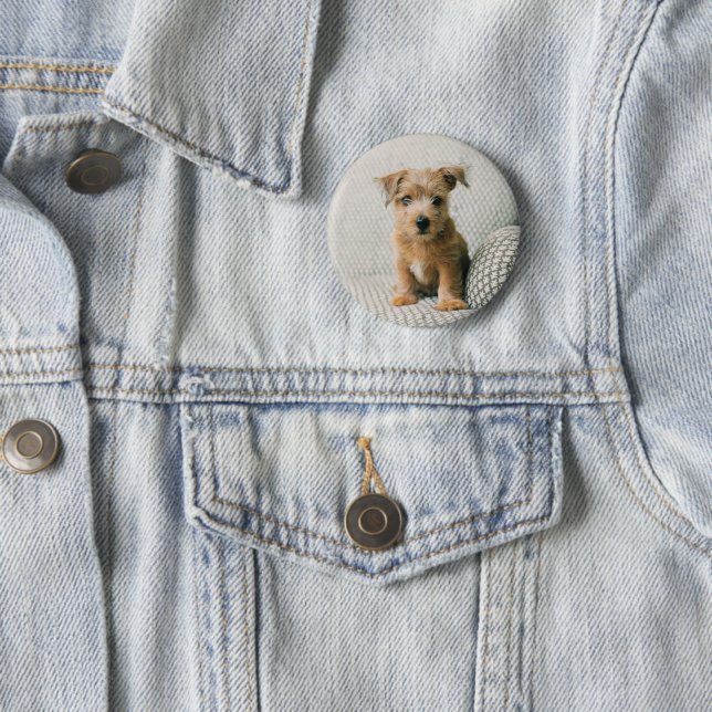 Cutest Baby Animals | Norfolk Terrier Puppy 2 Inch Round Button (In Situ)