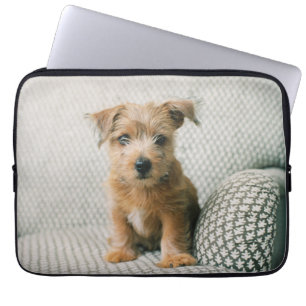 Cutest Baby Animals   Norfolk Terrier Puppy Laptop Sleeve