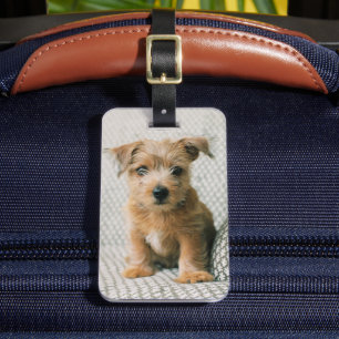 Cutest Baby Animals Norfolk Terrier Puppy Luggage Tag