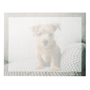 Cutest Baby Animals Norfolk Terrier Puppy Notepad