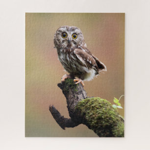 Cutest Baby Animals   Northern Saw Whet Owl Jigsaw Puzzle
