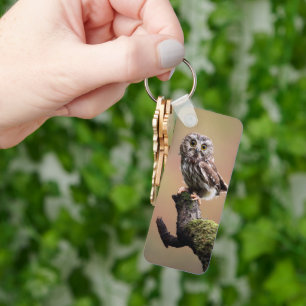 Cutest Baby Animals Northern Saw Whet Owl Keychain
