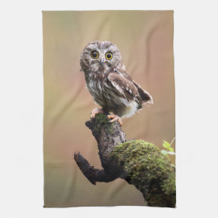 Cutest Baby Animals   Northern Saw Whet Owl Kitchen Towel