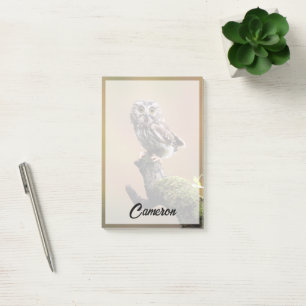 Cutest Baby Animals Northern Saw Whet Owl Post-it Notes