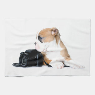 Cutest Baby Animals   Old Tyme British Bulldog Kitchen Towel