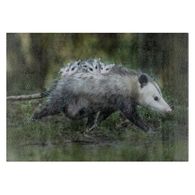 Cutest Baby Animals | Opossum Mom & Kids Cutting Board (Front)