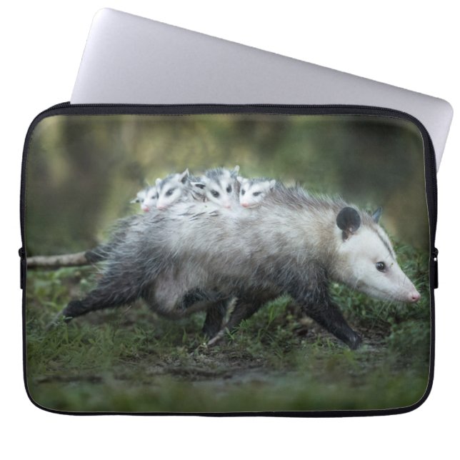 Cutest Baby Animals | Opossum Mom & Kids Laptop Sleeve (Front)