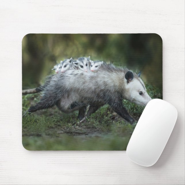 Cutest Baby Animals | Opossum Mom & Kids Mouse Pad (With Mouse)