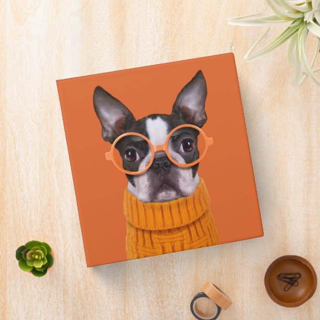 Cutest Baby Animals | Orange Boston Terrier Binder (In Situ)