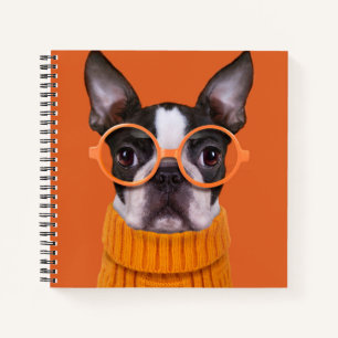 Cutest Baby Animals   Orange Boston Terrier Notebook