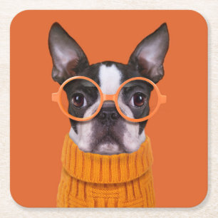 Cutest Baby Animals   Orange Boston Terrier Square Paper Coaster