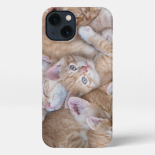 Cutest Baby Animals Orange Kitten Pile iPhone 13 Case