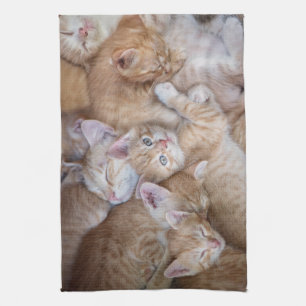 Cutest Baby Animals Orange Kitten Pile Kitchen Towel