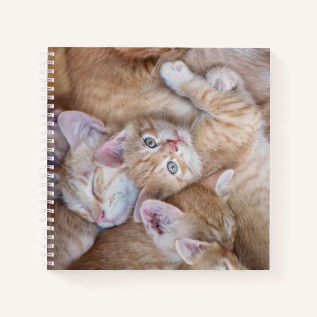 Cutest Baby Animals | Orange Kitten Pile Notebook (Front)