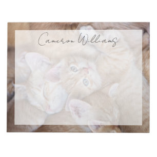 Cutest Baby Animals Orange Kitten Pile Notepad