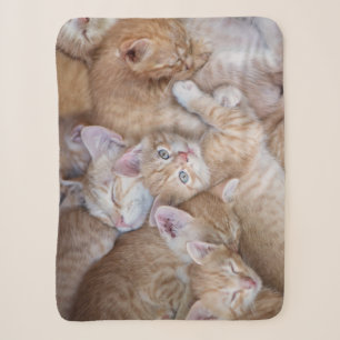 Cutest Baby Animals Orange Kitten Pile Sherpa Blanket