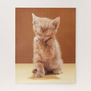 Cutest Baby Animals Orange Tabby Kitten Jigsaw Puzzle