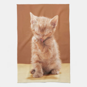 Cutest Baby Animals   Orange Tabby Kitten Kitchen Towel