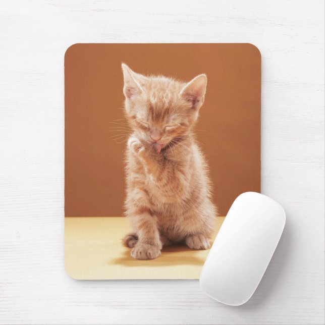 Cutest Baby Animals | Orange Tabby Kitten Mouse Pad (With Mouse)