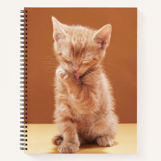 Cutest Baby Animals | Orange Tabby Kitten Notebook (Front)