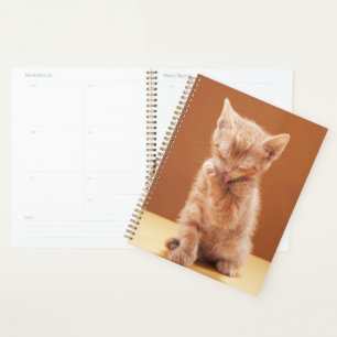 Cutest Baby Animals Orange Tabby Kitten Planner
