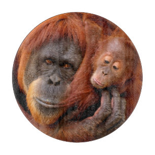 Cutest Baby Animals Orangutan Mom & Baby Cutting Board