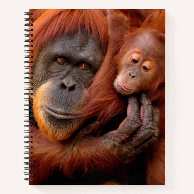 Cutest Baby Animals | Orangutan Mom & Baby Notebook (Front)