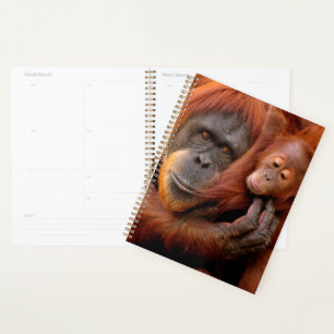 Cutest Baby Animals Orangutan Mom & Baby Planner